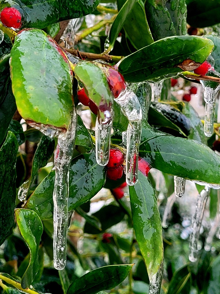 ManicBalaji's tweet photo. #SnowmeltingMagic #SnowDrip https://t.co/EvPqzYRYW7