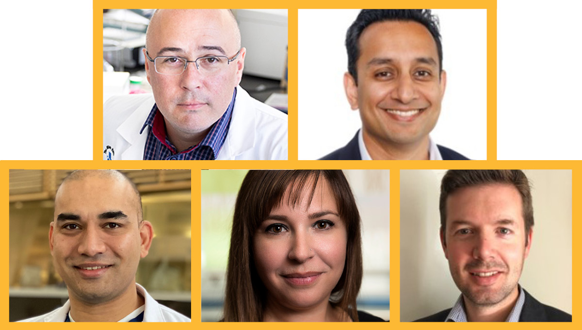 The Ottawa Hospital (@ottawahospital) on Twitter photo Congratulations to our inaugural ELEVATE grant recipients! These grants will help our early-career researchers advance research on stem cells, skin infections, kidney disease, stroke, cancer and surgery. ohri.ca/newsroom/story… #ottnews Congratulations to our inaugural ELEVATE grant recipients! These grants will help our early-career researchers advance research on stem cells, skin infections, kidney disease, stroke, cancer and surgery. ohri.ca/newsroom/story… #ottnews