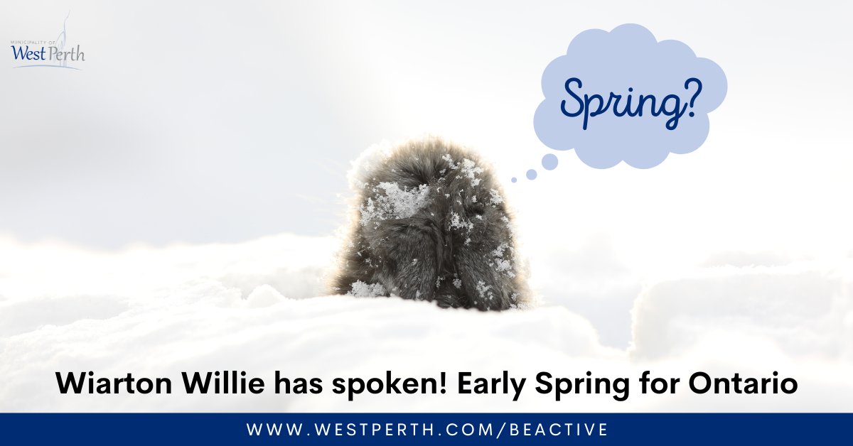 WestPerthON's tweet photo. Are you team early spring🌸, or team winter🧊? 
Willie's predicted an early spring! Why not enjoy all that winter has to offer by snowshoeing one of the many trails, bird watching at Sawyer Bush, or going tobogganing with the fam. Drop an emoji in the comments!
#WestPerthON https://t.co/BZ6mSEv22R
