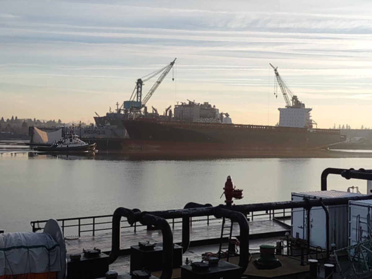dieselduckster's tweet photo. I think @USCG must have kibosh-ed the #GSLEleni's plans to go to Asia for a cheap band aid fix.
The #Greek owned, #FOC #container #ship #Eleni that broke its rudder off #Tofino, and let go by @Transport_gc is now in #Portland, presumably awaiting to get into the #drydock. https://t.co/Pa5KdF6JCh