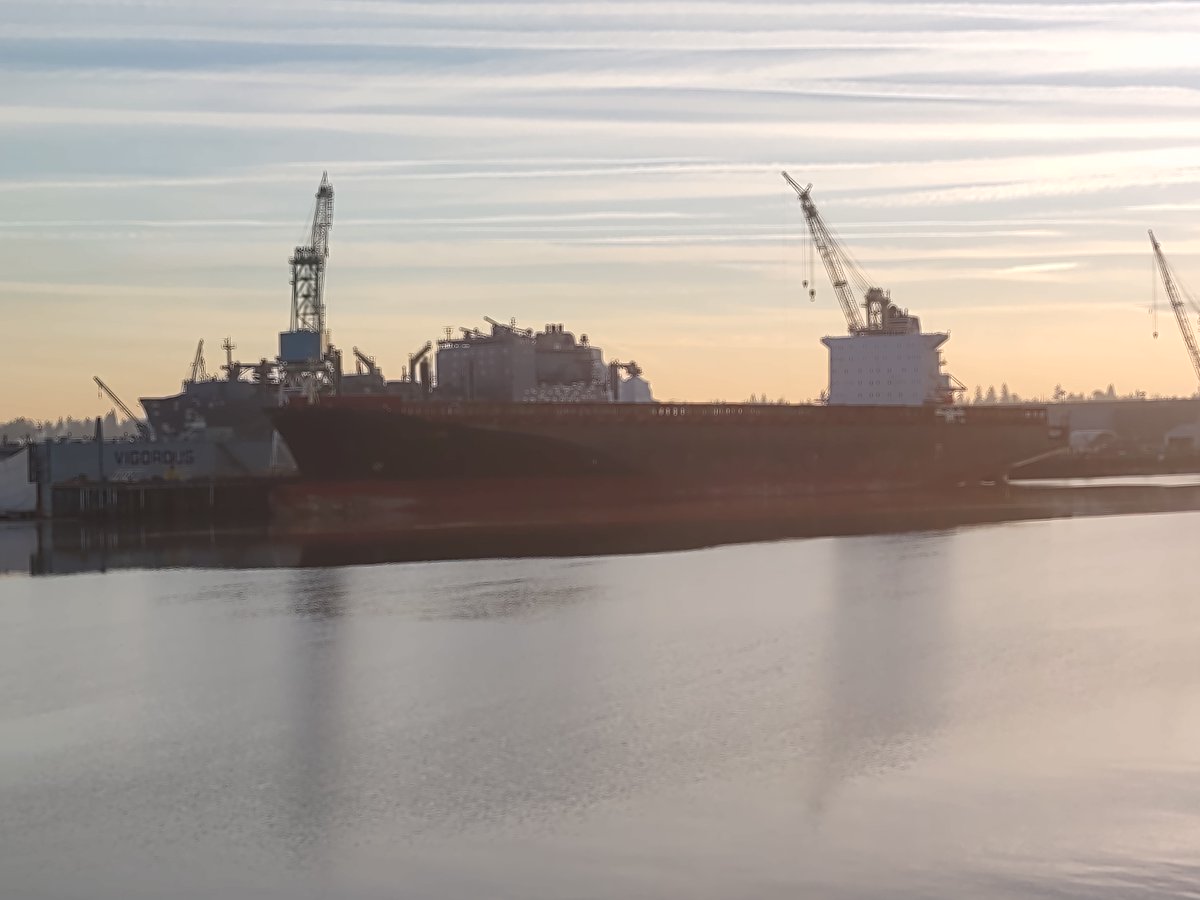 dieselduckster's tweet photo. I think @USCG must have kibosh-ed the #GSLEleni's plans to go to Asia for a cheap band aid fix.
The #Greek owned, #FOC #container #ship #Eleni that broke its rudder off #Tofino, and let go by @Transport_gc is now in #Portland, presumably awaiting to get into the #drydock. https://t.co/Pa5KdF6JCh