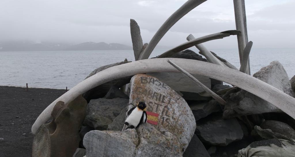 Contingente Antártico ET tweet media