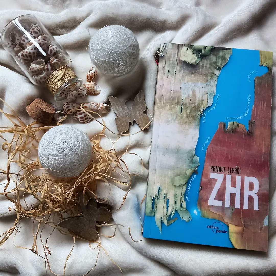 Laurielucasblog's tweet photo. En route pour une nouvelle #lecture avec : "ZHR - Zone Hors Risque" de Patrice Lepage.
Un roman futuriste qui pousse à la réflexion sur notre présent. 🌏⚘️
#roman #jeudiphoto #patricelepage @ParoleEditions https://t.co/JpvlMRb3xl