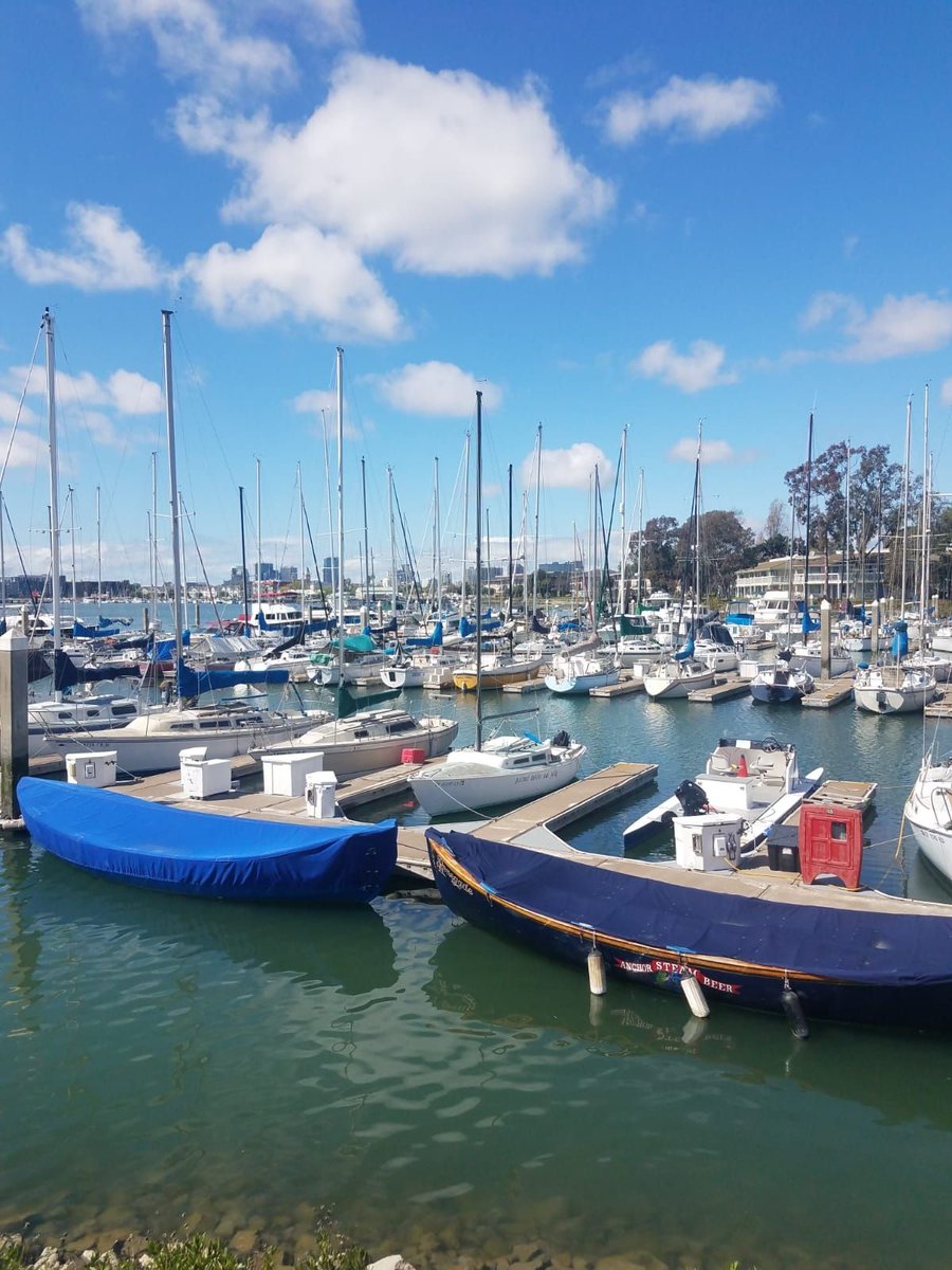 EUribechat's tweet image. Experience the beauty of Oakland's waterfront, where the city skyline meets the water's edge. Keep following for more stunning views and updates on all the fun happening at this vibrant waterfront destination! #localspots #supportlocal #elisauriberealtor #realestate #realtorlife