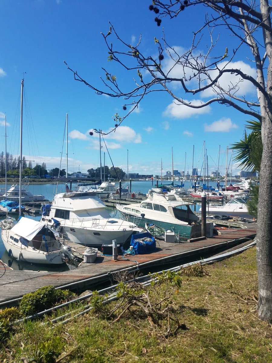 EUribechat's tweet image. Experience the beauty of Oakland's waterfront, where the city skyline meets the water's edge. Keep following for more stunning views and updates on all the fun happening at this vibrant waterfront destination! #localspots #supportlocal #elisauriberealtor #realestate #realtorlife