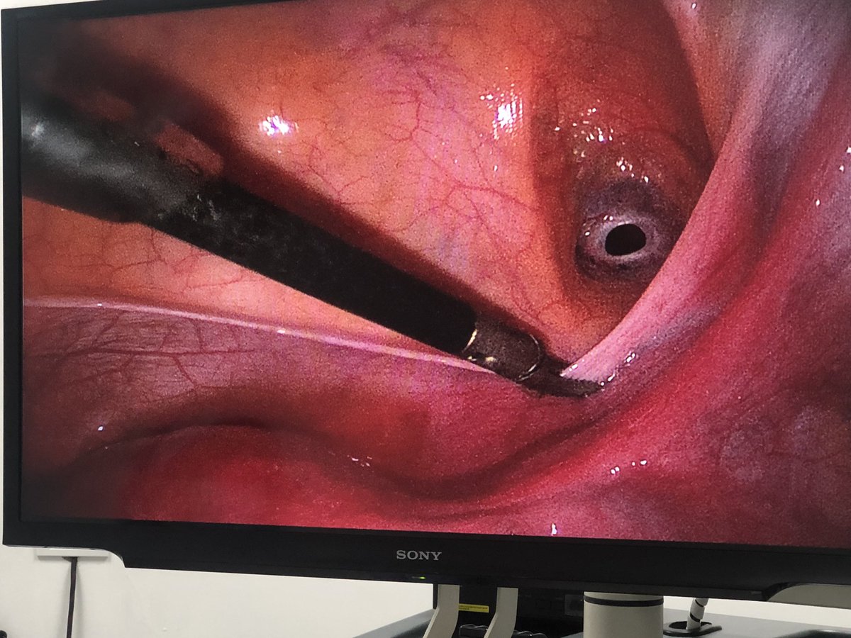 Dr. Patricio Toapanta tweet media