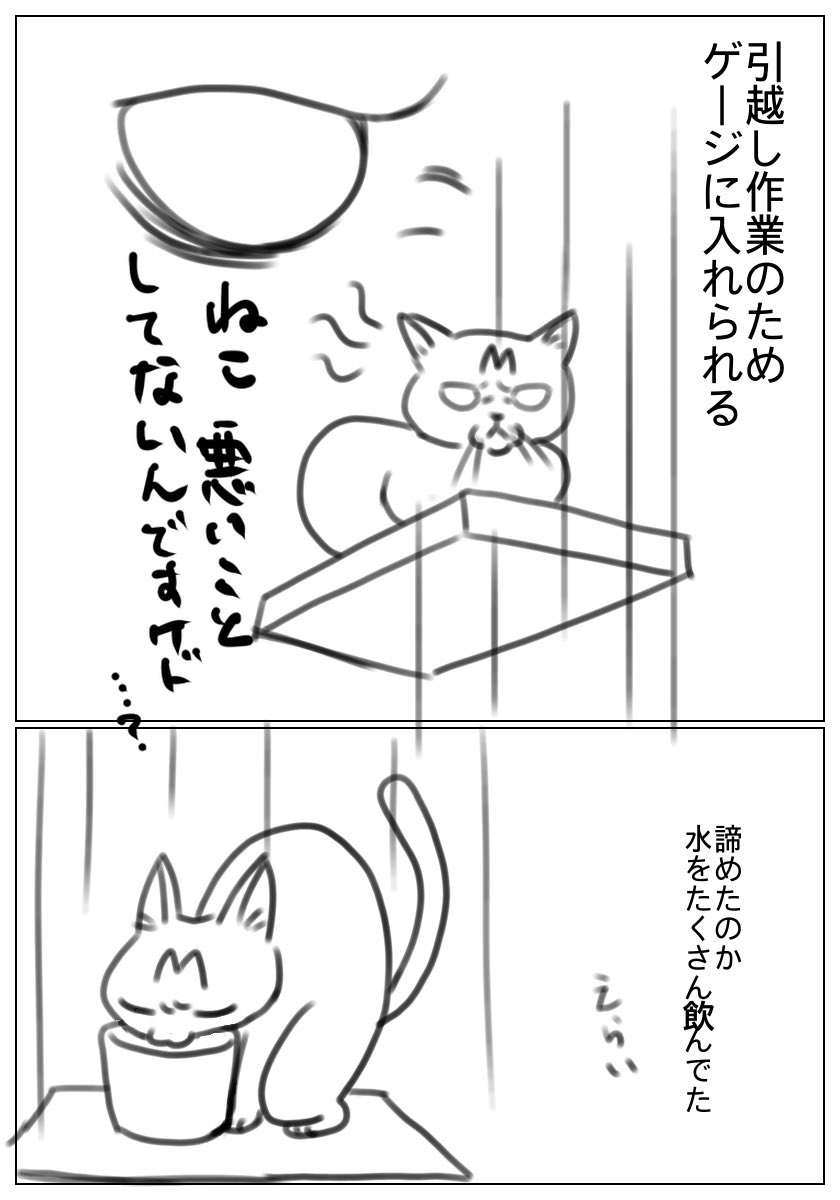 ずっとおこでした。
#猫#日記 