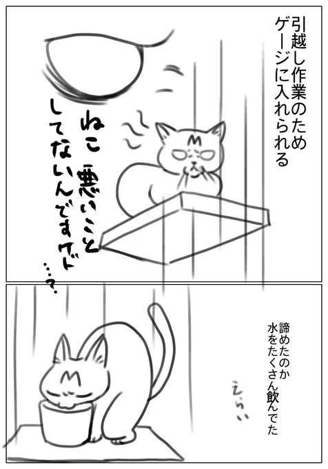 ずっとおこでした。
#猫#日記 