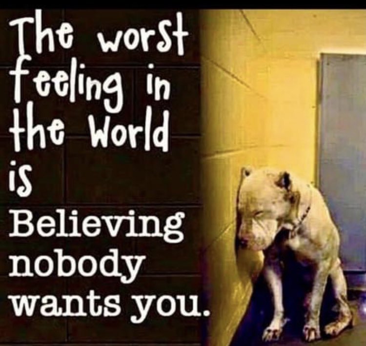 Angie KaranⓋ🌱 tweet media