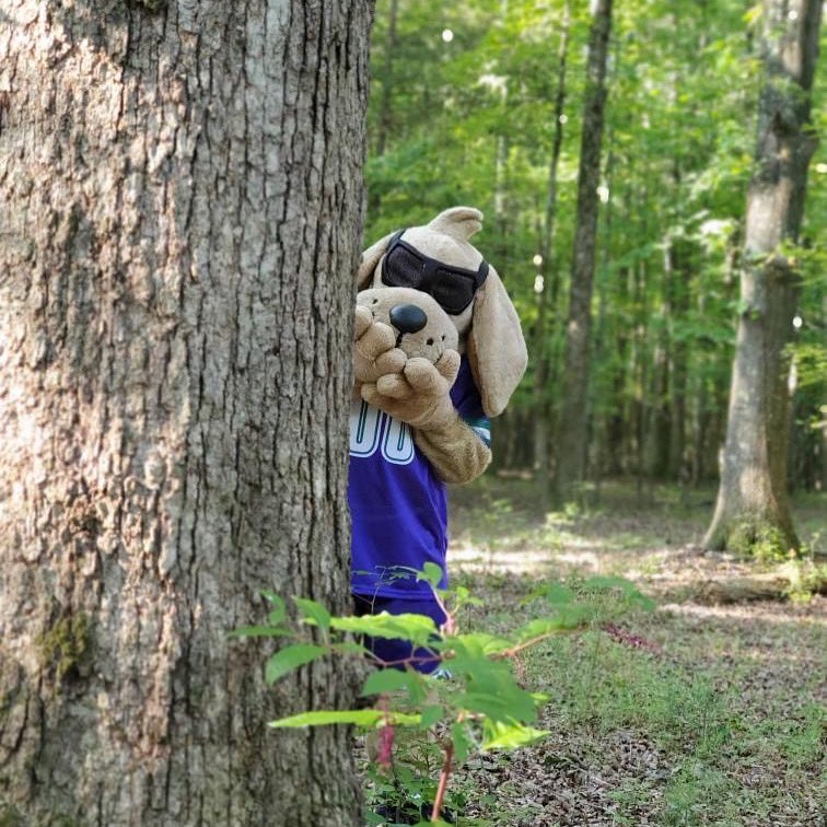 It's Groundhog Day and my buddy #PunxsutawneyPhil did see his shadow. Looks like we will have 6️⃣ more weeks til winter. Thanks Phil and #BillMurray.