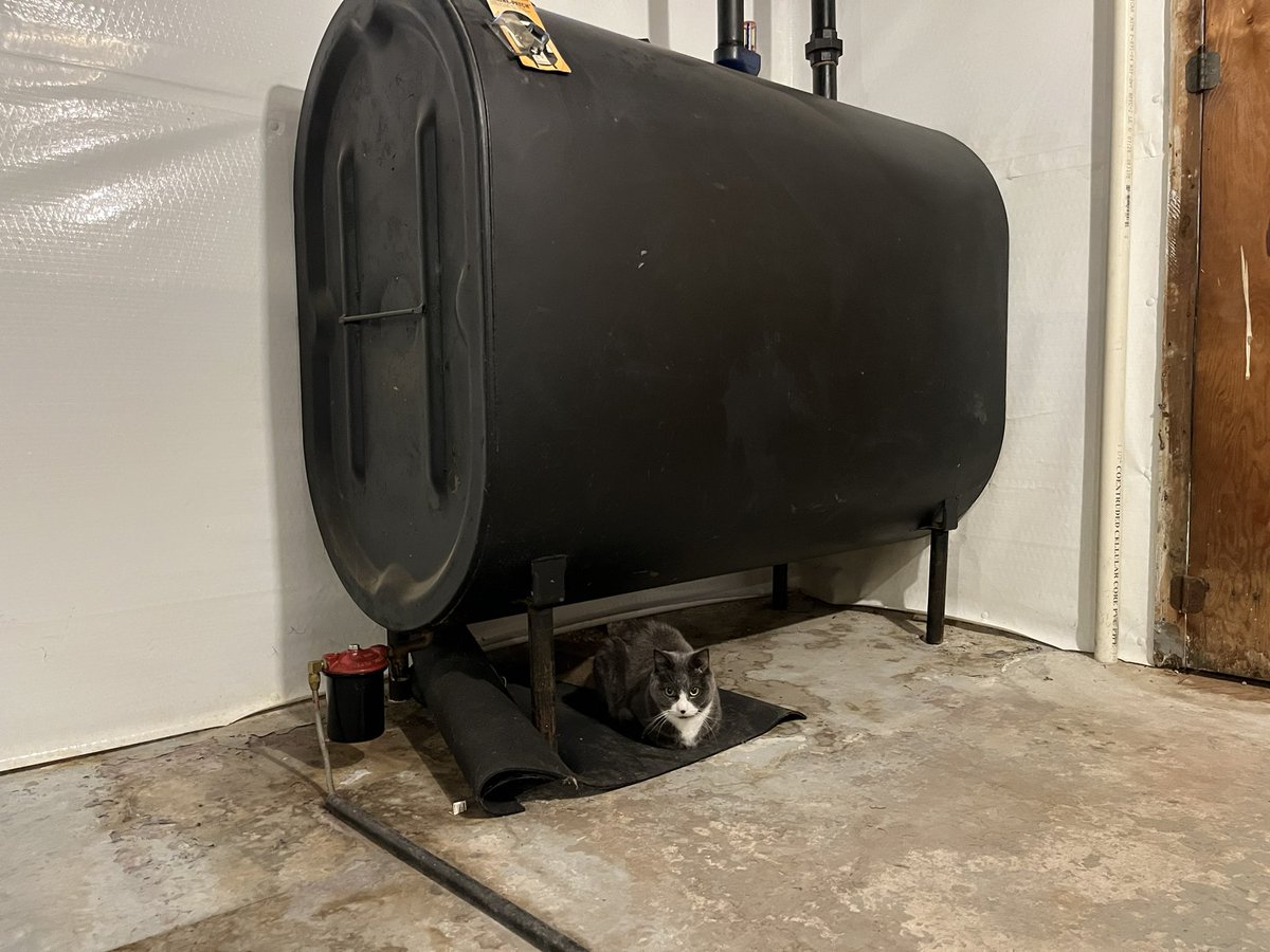 Bruno Matarazzo Jr. tweet media