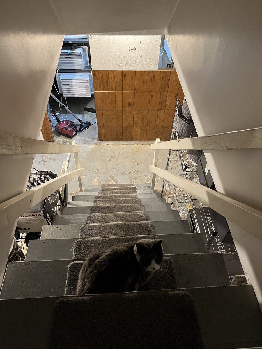 Bruno Matarazzo Jr. tweet media