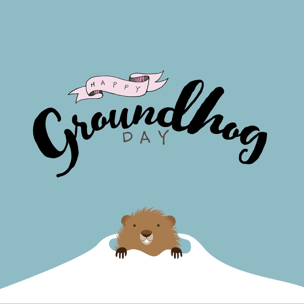hcv_nd's tweet photo. Happy Groundhog Day! https://t.co/imGkVdYPnR