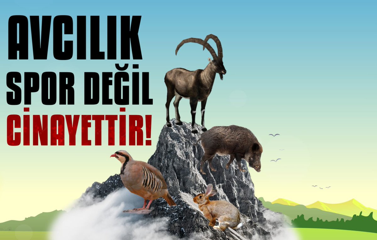 FatihMacoglu's tweet photo. Karıncasından böceğine, dağ keçisinden domuzuna hiçbir canlının katledilmesini doğru bulmuyor, avcılığı yasal olarak güvence altına alan yasaları kabul etmiyorum.

 #avcılıkcinayettir https://t.co/DIgzNXdCkZ
