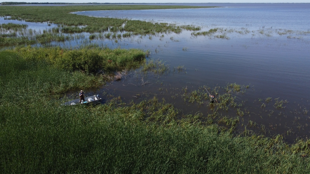 RedRiverBasin's tweet photo. Today is World Wetlands Day! World Wetlands Day aims to raise global awareness about the vital role of wetlands for people and planet.
Let us know what you are doing to help conserve wetlands in your part of the world!
https://t.co/UpgjTWOKqs
#worldwetlandsday #savenetleymarsh https://t.co/qsRknP40Mm