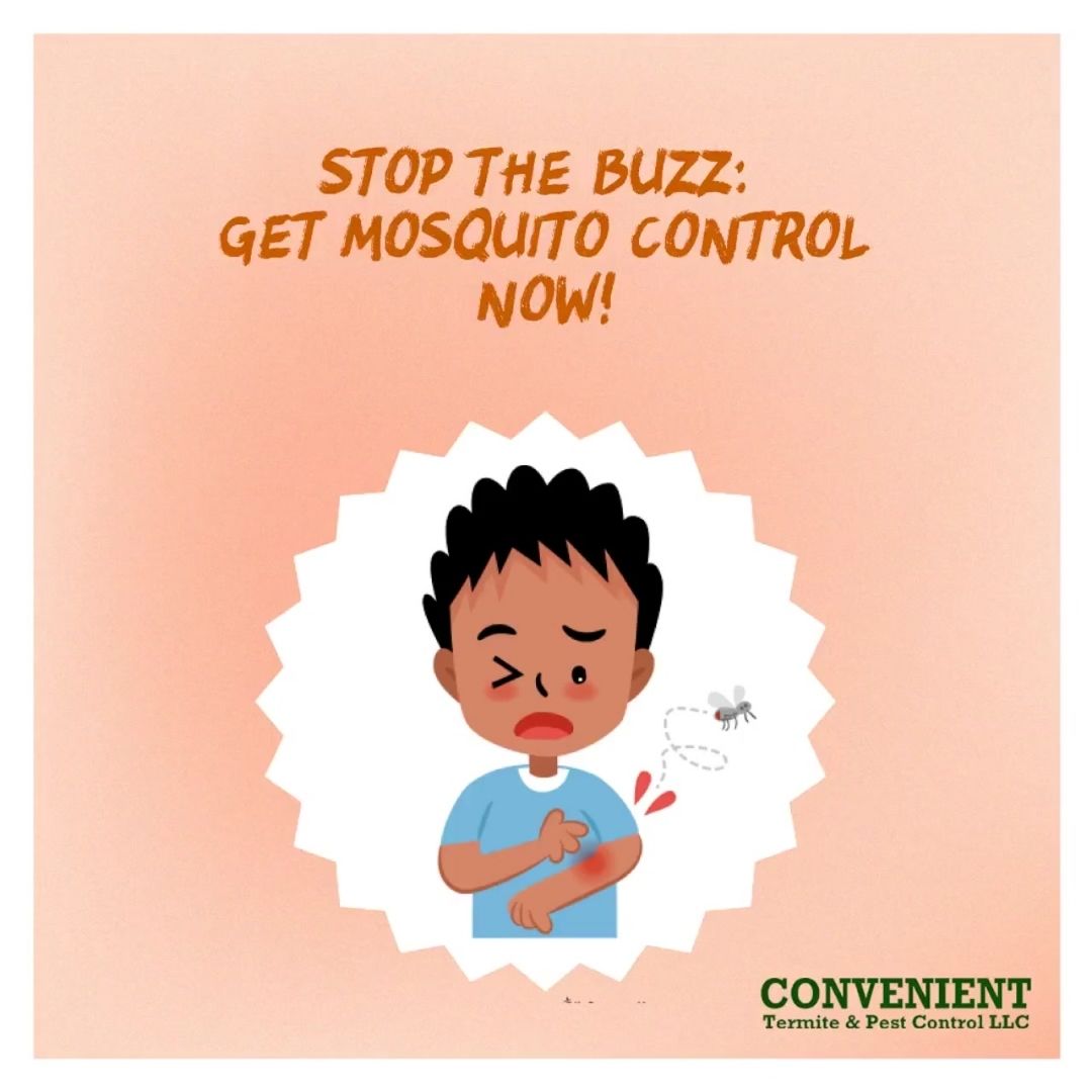 termiteslayer's tweet image. Are pesky mosquitoes ruining your outdoor fun? Get rid of them with our mosquito control system and enjoy outdoor space without worrying about irritating bites.
Call (480) 892-8277.
#mosquitocontroller #mosquitocontrol #pestcontrol #pestcontrolservice #mesa #gilbert #chandler
