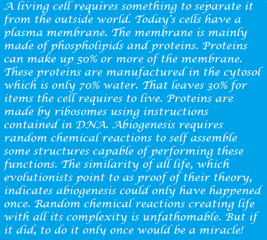 GodReallyExists's tweet image. After decades of trying to create life in the lab, scientists have a few different macro molecules. Nothing even close to life despite all we know. How could it happen in the environment? #findinggod #godisreal #atheist #atheists #atheism #JesusSaves #JesusChrist #JesusLives