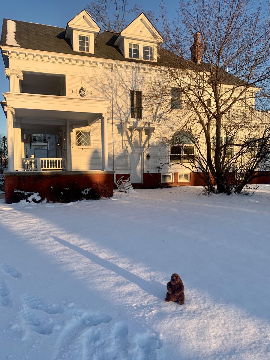 We have Punxsutawney Phil's Cousin Bill is visiting Plymouth for the Ice Festival this weekend. He also saw his shadow when out for his morning walk. Can't wait to have <a href="/FOX2News/">FOX 2 Detroit</a>  join us <a href="/plymouthice/">Plymouth Ice Festival</a>
 this weekend! <a href="/dkevrafox2/">Derek Kevra</a> <a href="/alongstreetfox2/">Alan Longstreet</a>  
<a href="/RLutermanFOX2/">Rich Luterman</a> <a href="/LoriPinsonFOX2/">Lori Pinson Fox 2</a>