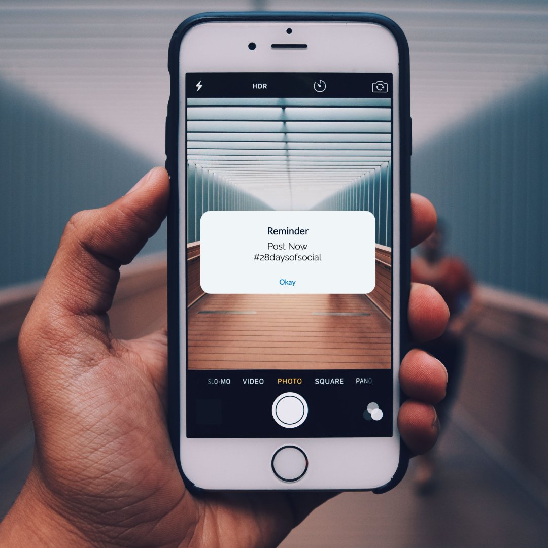 You may have realised we have been a little quiet on our socials recently so we decided to challenge ourselves to post everyday of February!📆

Be sure to keep your eyes peeled for our daily posts and if you think you can do it too, join in! #28daysofsocial