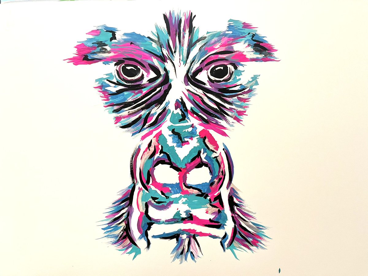 Henry Fraser tweet media