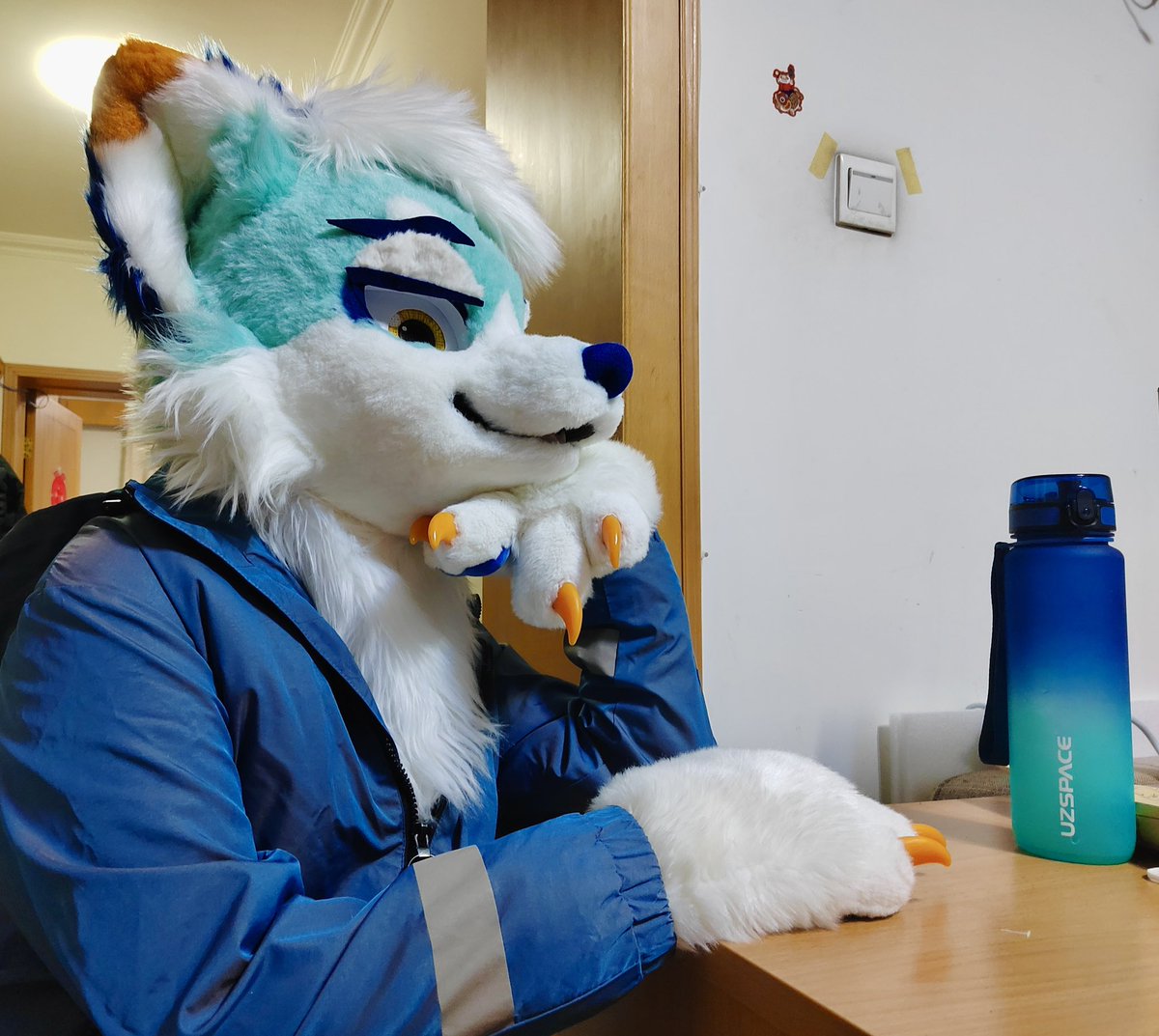 DraconidsMXZ tweet media