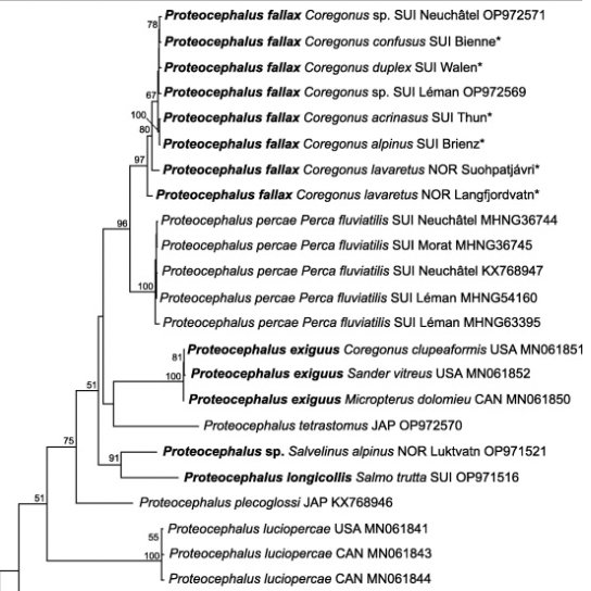 Parasite Eco-Evo Research Lab tweet media