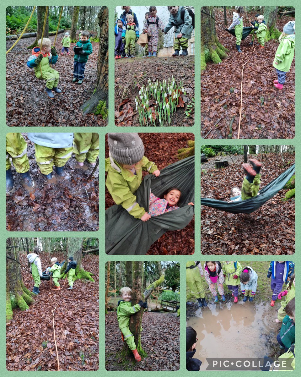 GiffnockNursery's tweet image. Another fab morning in the woods today. We found our little clump of snowdrops again this year! #naturedetectives #forestfun