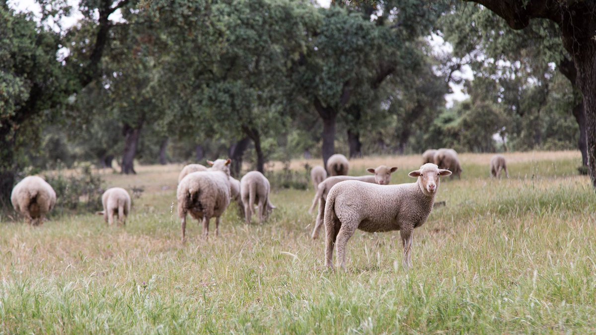 Trabajamos cada día para que nuestra tierra sea ese lugar que abra nuevos horizontes que ayuden a generar conocimiento, oportunidades y empleo.

Así favoreceremos la sostenibilidad y podremos mirar al futuro con optimismo. Juntos lo vamos a conseguir.

¡Sigamos juntos!

#SRL