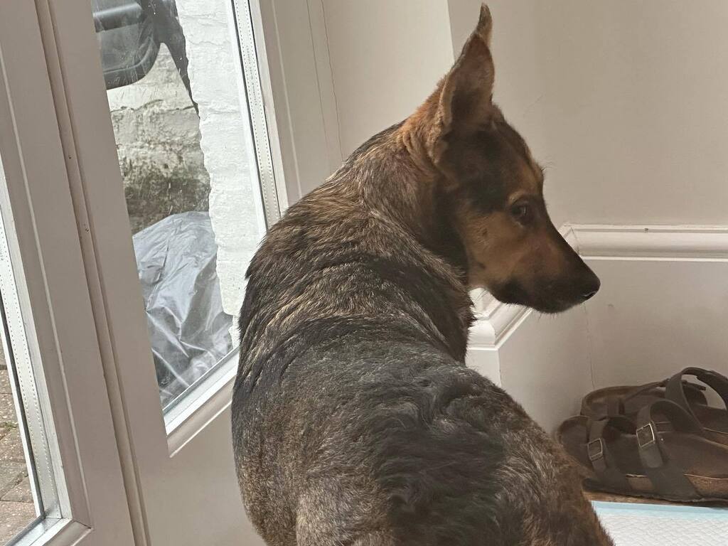 Rory Cellan-Jones tweet media