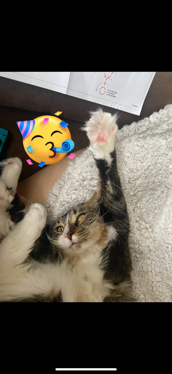 Finchy_boy17's tweet photo. Hands up if you are ready for the weekend!! https://t.co/jhStgau7qJ