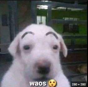 After 4 months, over 80 applicants, and many hours from our staff. 2 teams emerged. Stay tuned 😉