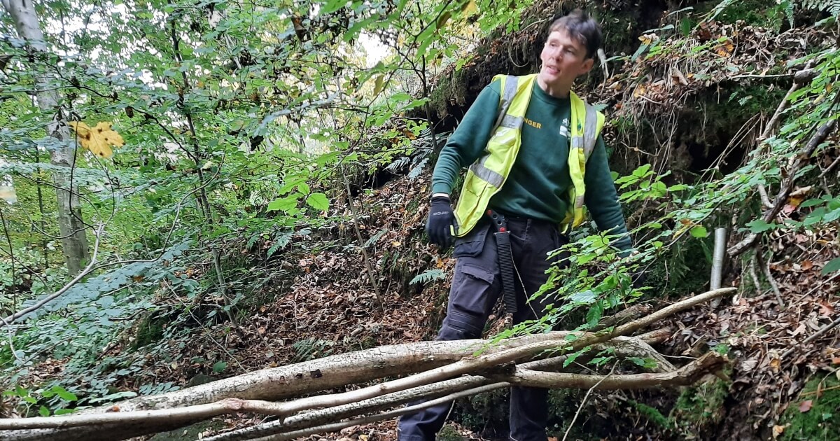 #WorldWetlandsDay💙#LeakyDams are used in #naturalfloodmanagement where woody material is laid across streams to intercept & slow the flow of water. Our @riverlution_rsc @Grippleltd #trainee stewards helped @SheffCouncil Ranger, Matt create these in Porter Clough @FoPVSheffield