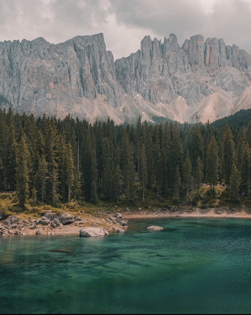 gonewithshaun tweet media