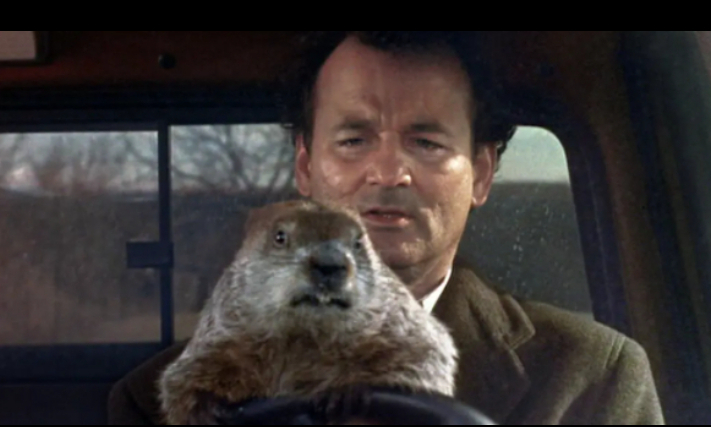 We are wishing you a very Happy Groundhog Day! Let's hope he gives us a good prediction this time around :) 
Also happens to be one of our favorite movies of all time. We will be watching it tonight ​​​​​​​​
​​​​​​​​
#groundhogday #punxsutawneyphil
