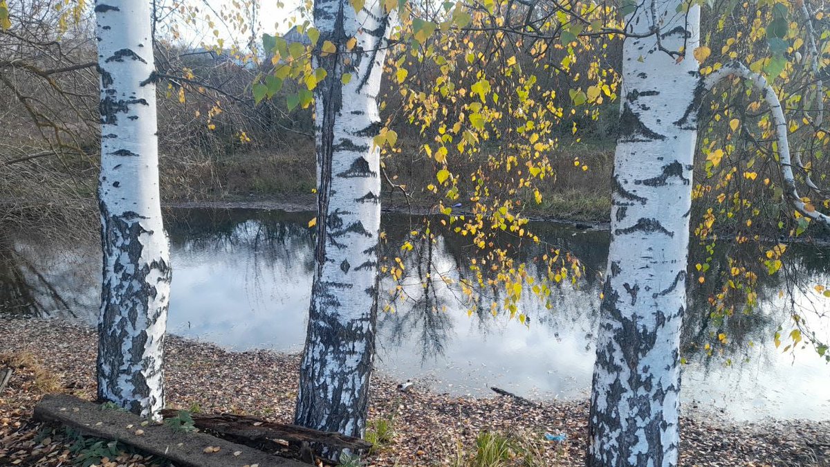 Мордовия