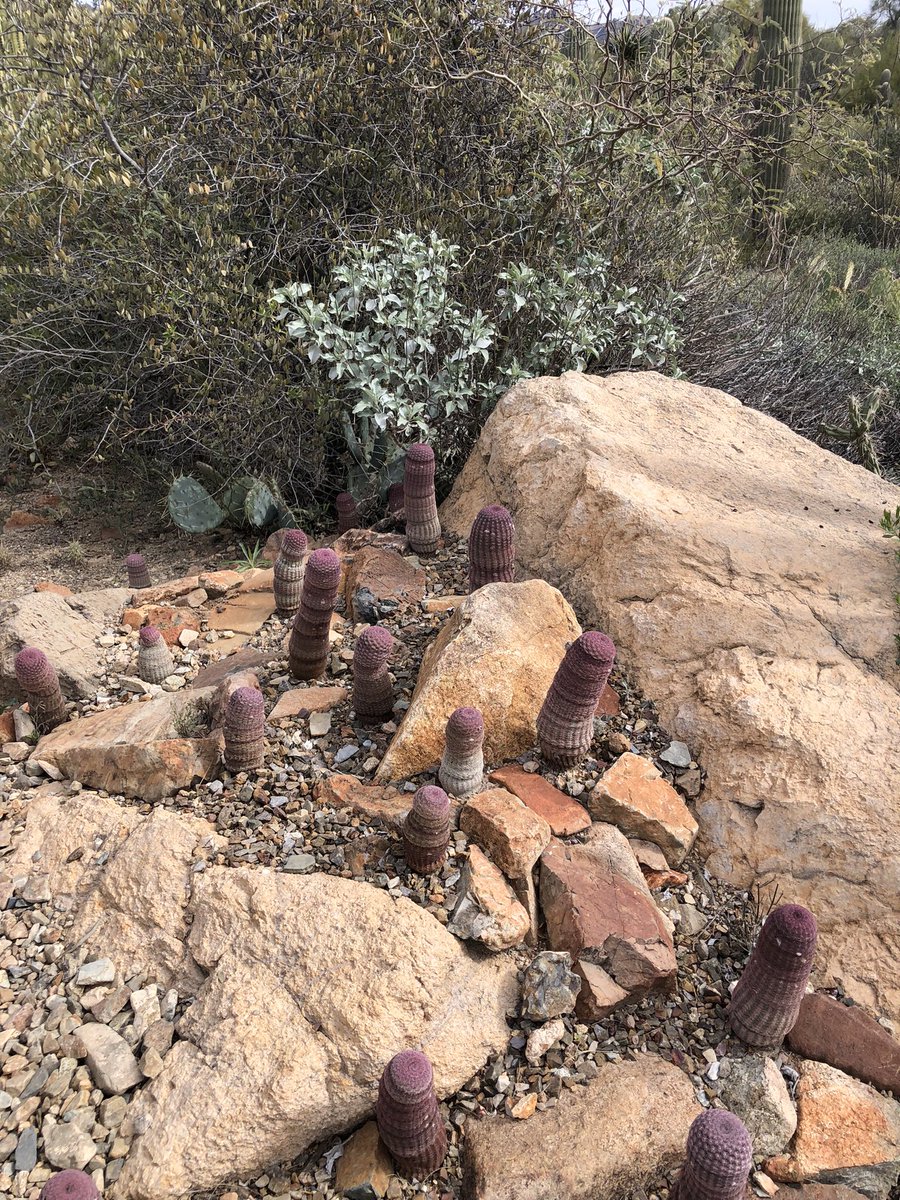 Rhiannon Russell tweet media