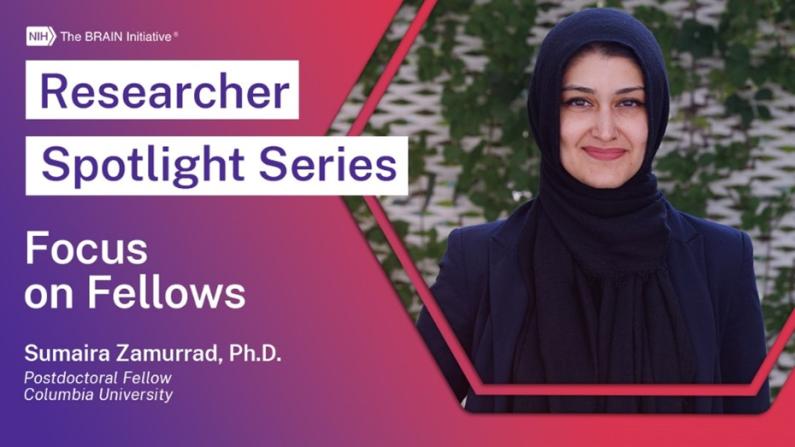 USBrainAlliance's tweet photo. Researcher spotlight: BRAIN Initiative F32 postdoctoral award recipient Sumaira Zamurrad. Dr. Zamurrad will use the funding opportunity to study neural circuits in Drosophila models. Learn more in this Q &amp; A. https://t.co/mecYX5eklC #studyBRAIN https://t.co/H6IWpvRKWx
