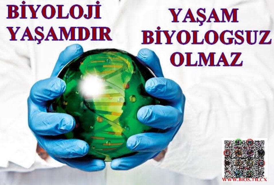 Ezgi1ozen's tweet photo. Biyoloji canlı bilimidir. Biyolog da tüm canlılar yararına araştırmalar yapan bilim insanlarıdır. 🍀

BiyologYasası GündemeAlınsın https://t.co/mbr8kkbWaI