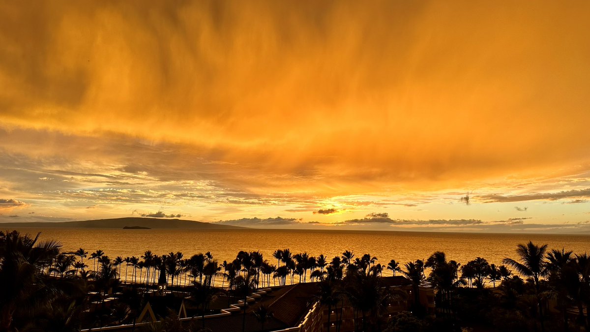 scopdoc's tweet photo. #hawaiicourse https://t.co/3WjNx5J9Ss