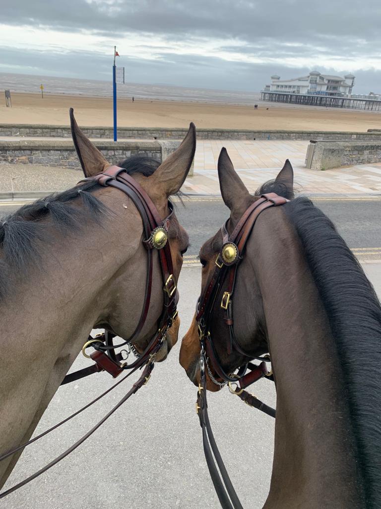 Allan and Somerset have been patrolling in Weston-super-Mare today! Is it nearly ice cream season? 🐴🍦 #communitypatrols