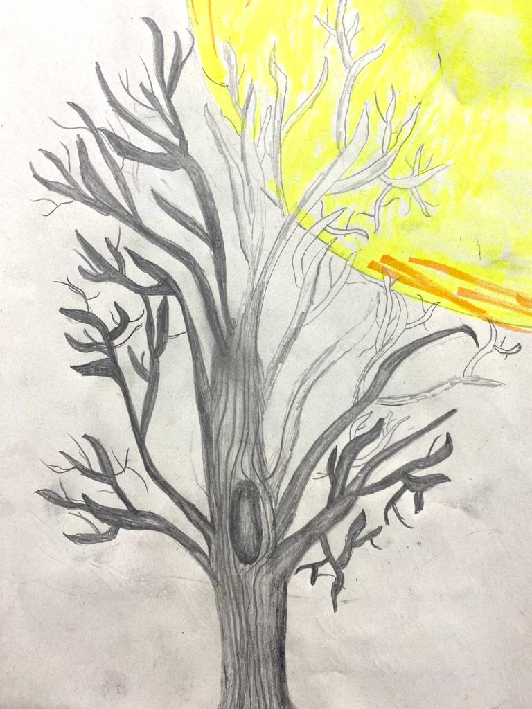 Mrs Parham was delighted with 1p6's homework, here are some examples