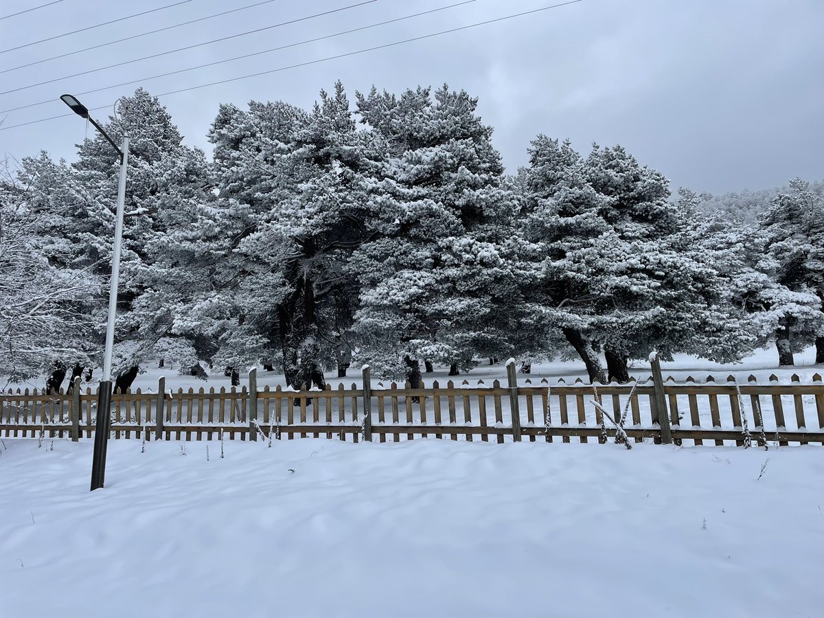 vedatoz52's tweet photo. Bu kış kar’ı Mesudiye’de gördük.
Beyaz örtüyü özlemişiz…
Mesudiye’nin Keyfalan Yaylası’nda ❄️ keyfini çıkardık.
#Ordu
#Mesudiye
#Keyfalan https://t.co/kjTrIIv6fB