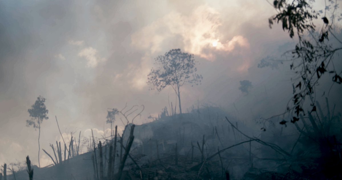 If the cost of feeding the global north is destruction of vast swathes of the global south, we say enough is enough.