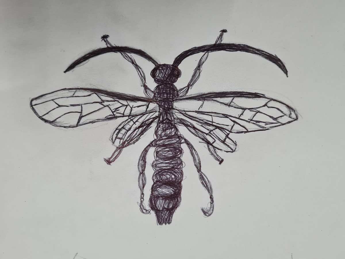 QMA Art Department (@qmaart) on Twitter photo 