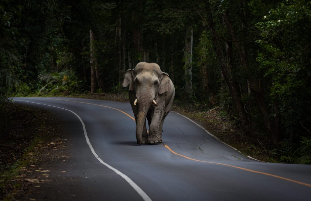 thewebscaledba's tweet image. zcu.io/fAoE Parallel Hash Joins in PostgreSQL  #PostgreSQL #PostgreSQLDBA #PostgreSQLPerformance