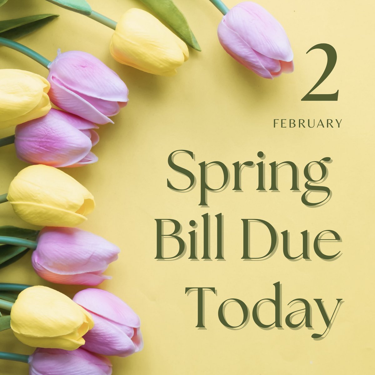The #SpringSemester bill is due today 2/2! Pay online in your MyU under the "My Finances" tab!

#umd #duluth #bulldogs