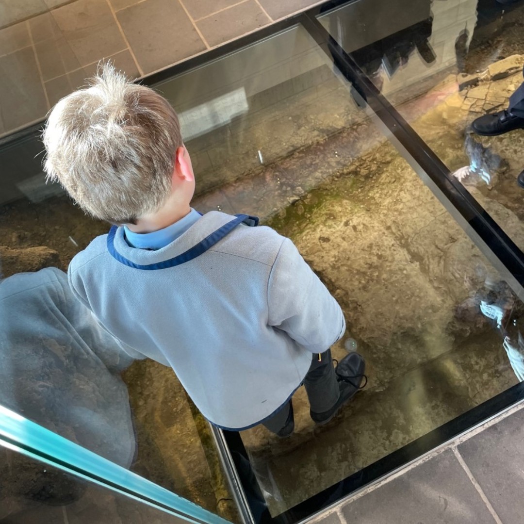 Witham Hall School tweet media