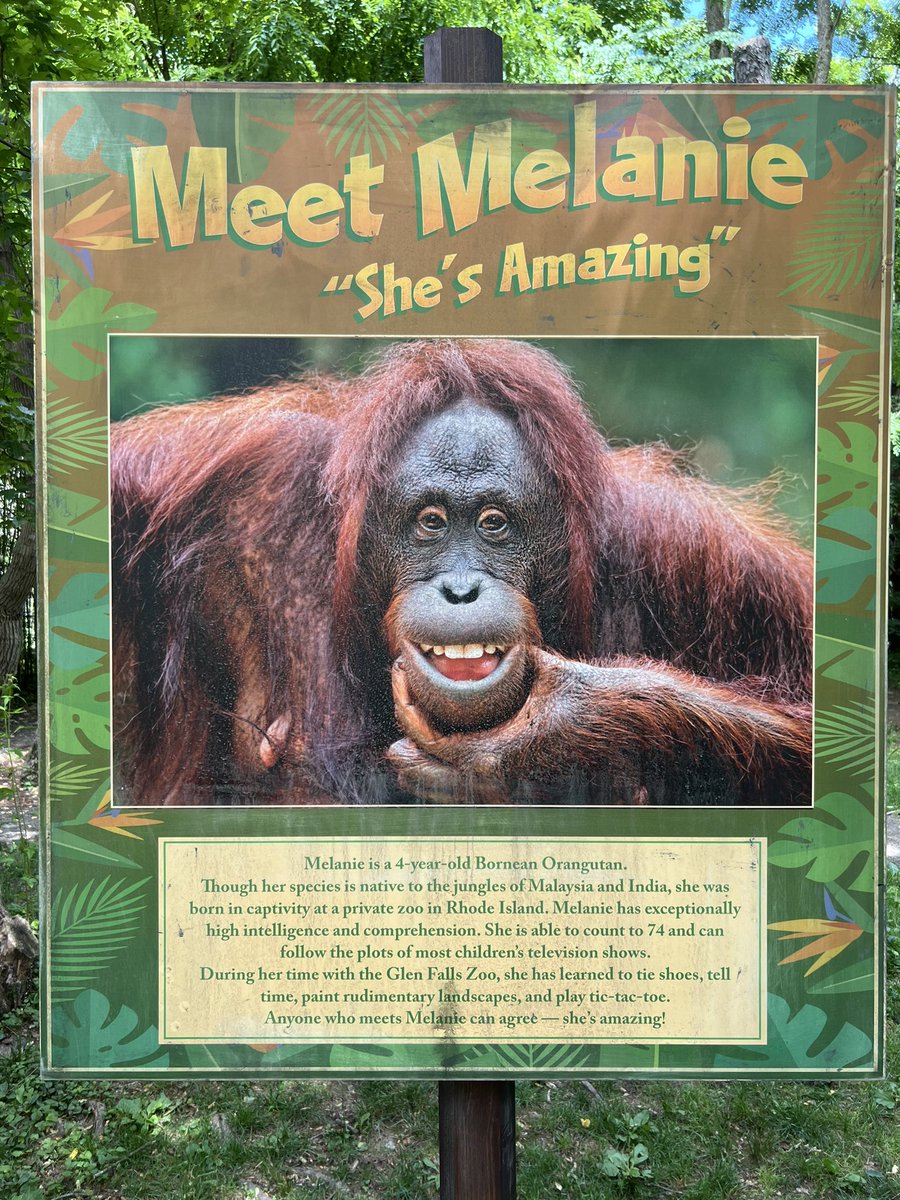 POKER FACE! Ep 5 - Time of the Monkey. I love this one. Written by <a href="/wyattcain/">Wyatt Cain</a> (who wrote “the stall”) and the very talented <a href="/CharliePeppers3/">Charlie Peppers</a>. Directed by one of my dearest friends @LuckyMcKee.