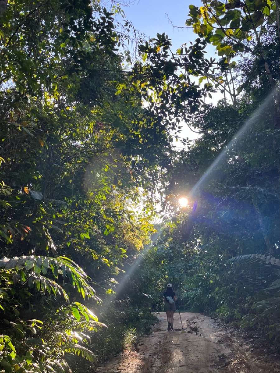 MoeAmatsuka105's tweet image. The scenery along the way is also worth appreciating. It's not the first time to climb the mountain. I went to blue lagoon the night before and drove for two hours the next morning.

#CloseEncounterswithNature #NotesInspiration #Mountains #outdoorStairs #Climbing