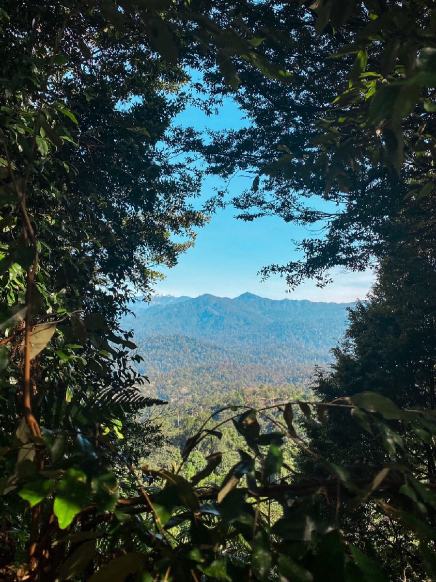 MoeAmatsuka105's tweet image. The scenery along the way is also worth appreciating. It's not the first time to climb the mountain. I went to blue lagoon the night before and drove for two hours the next morning.

#CloseEncounterswithNature #NotesInspiration #Mountains #outdoorStairs #Climbing